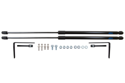 Упоры капота для NISSAN Pathfinder, 2022-, к-т 2 шт, ARBORI.HD.030103