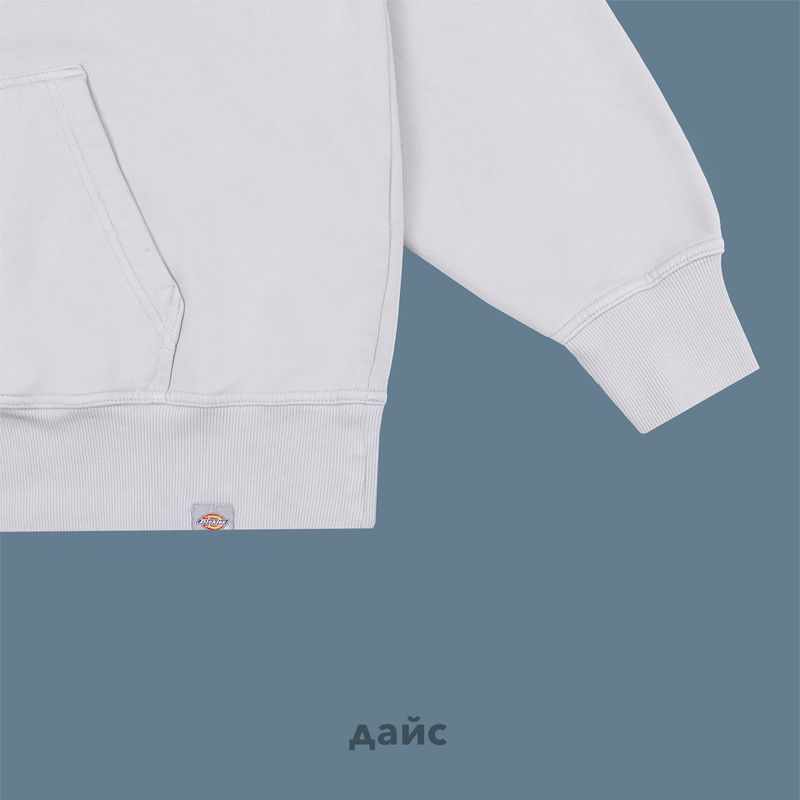 Толстовка мужская Dickies Plentywood Hoodie артикул:DK0A866DD061 - купить в магазине Дайс