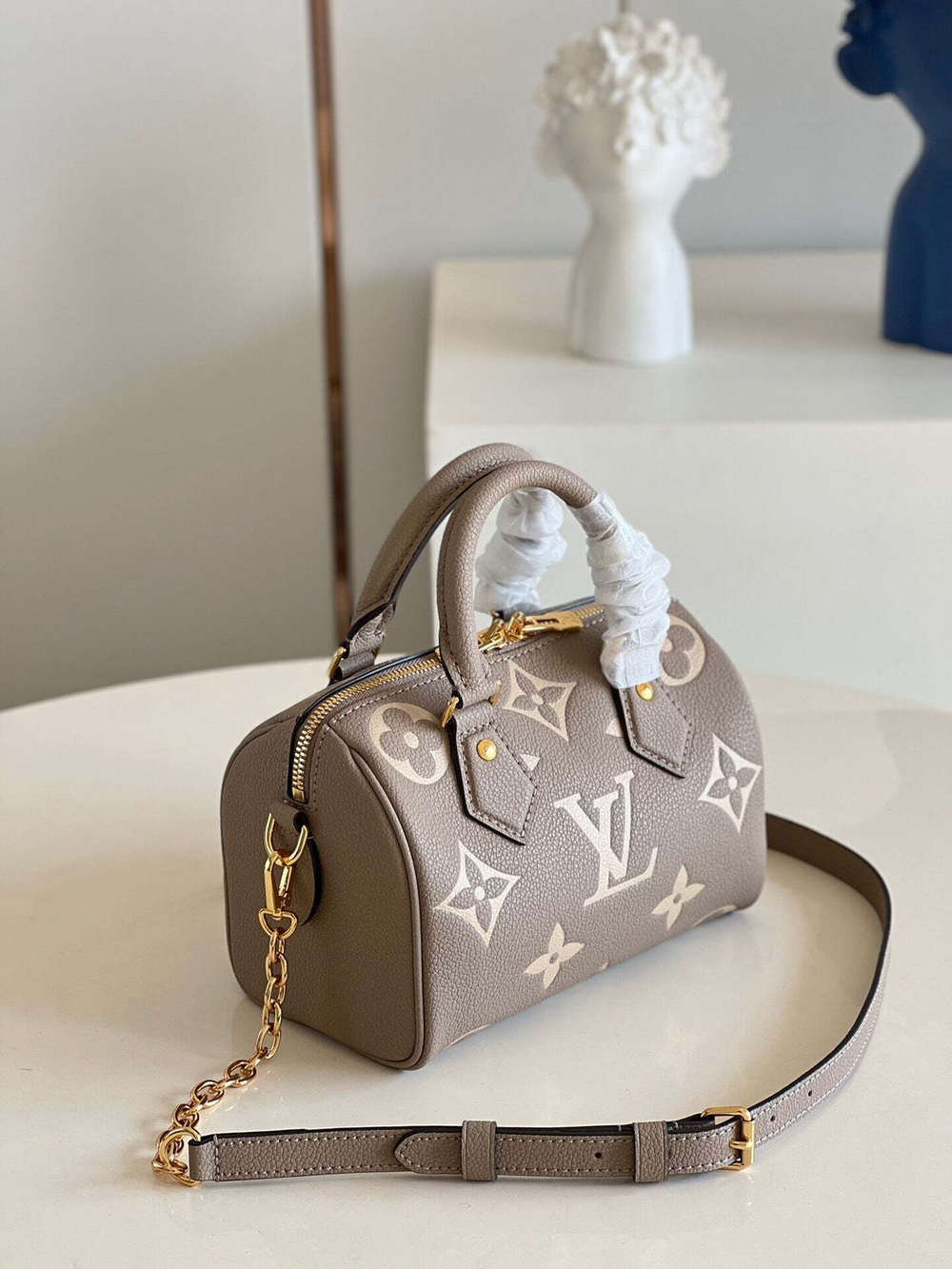 Louis Vuitton Speedy 20
