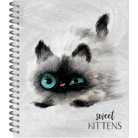 ТЕТРАДЬ ОБЩАЯ 48 ЛИСТОВ НА СПИРАЛИ “Глазастые котики”