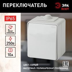 11-1603-03 ЭРА Переключатель IP65, 10АХ-250В, ОУ, Эра Эксперт, серый