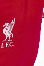 Рюкзак adidas Liverpool FC 25/26 - красный