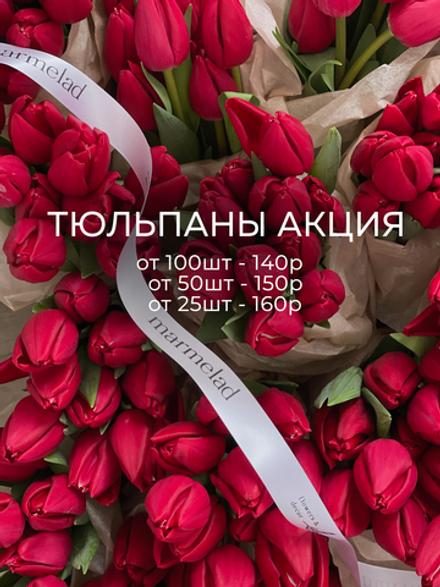 АКЦИЯ тюльпан - классика КРАСНЫЙ