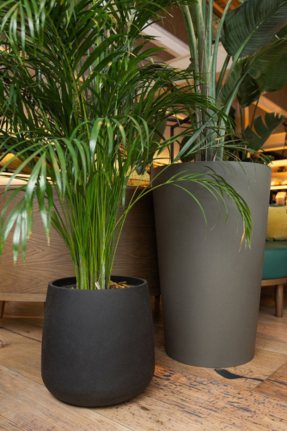 Кашпо CIGAR NERO