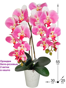 Искусственная Орхидея Фаленопсис 2 ветки бело-розовая латекс 55см в кашпо