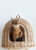 Домик "Пони-НЛОни"