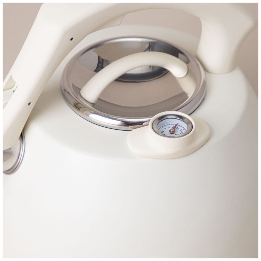 Чайник 3л нерж со свистком, серия Тюдор", индукция, белый