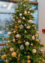 Новогодняя ель «Торжество»