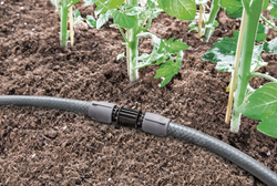 I-Соединитель