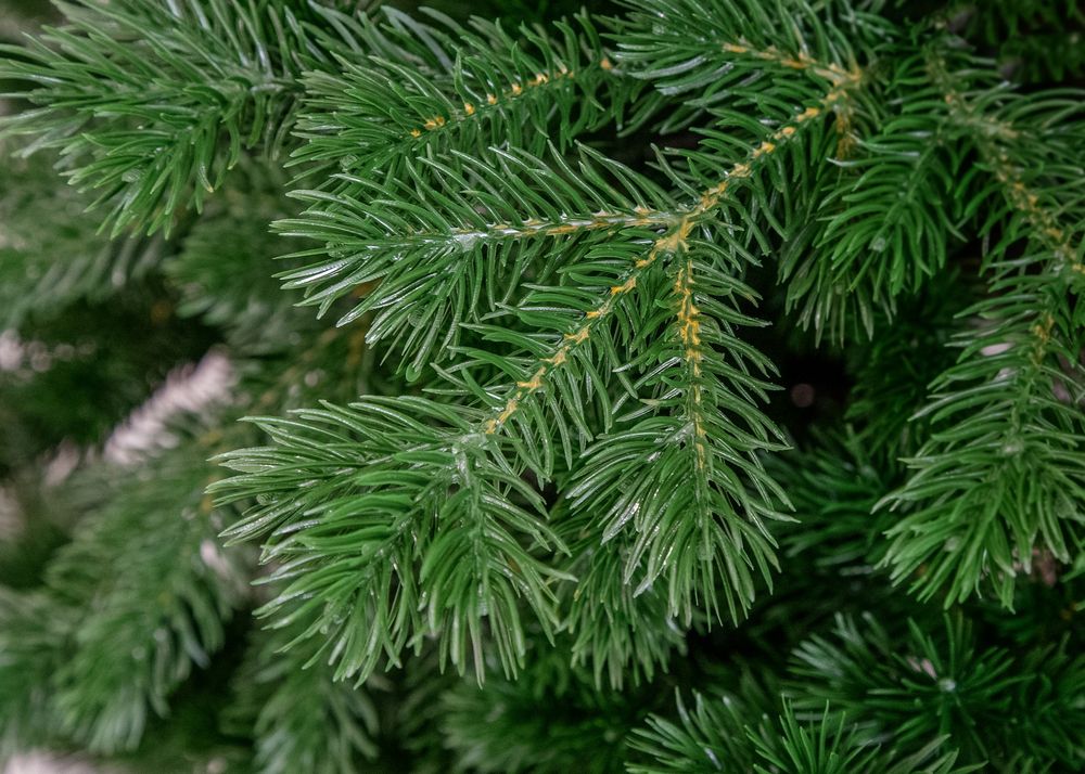 Ель искусственная «Делия» (Литая хвоя) 180 см / 1,8 м