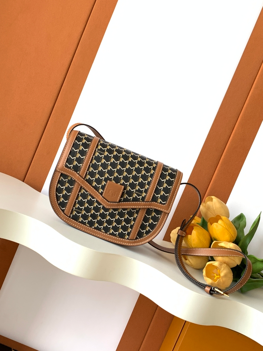 Moynat Besace Bag 22 cm