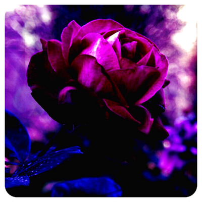 Практический Интенсив «Мастерство Регенерации и Изобилия». Часть 25