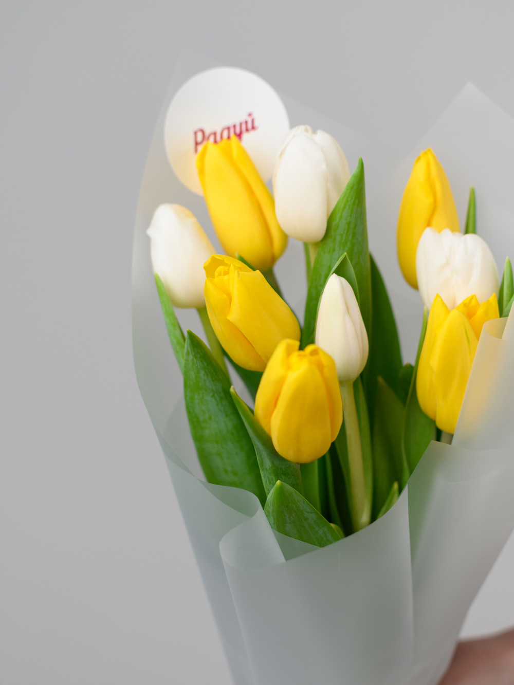 Тюльпаны микс