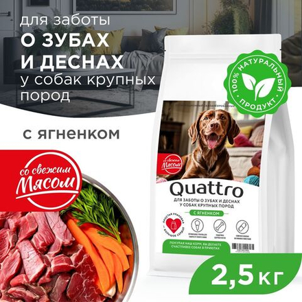Корм сухой для взрослых собак крупных пород, премиум полнорационный комплекс, для заботы зубов и десен, с ягненком, 2,5 кг, QUATTRO