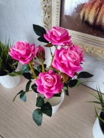 Роза кустовая бархатная, без кашпо.