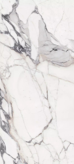 Керамогранит Magnum Les Origines de REX Argent Glossy 6mm