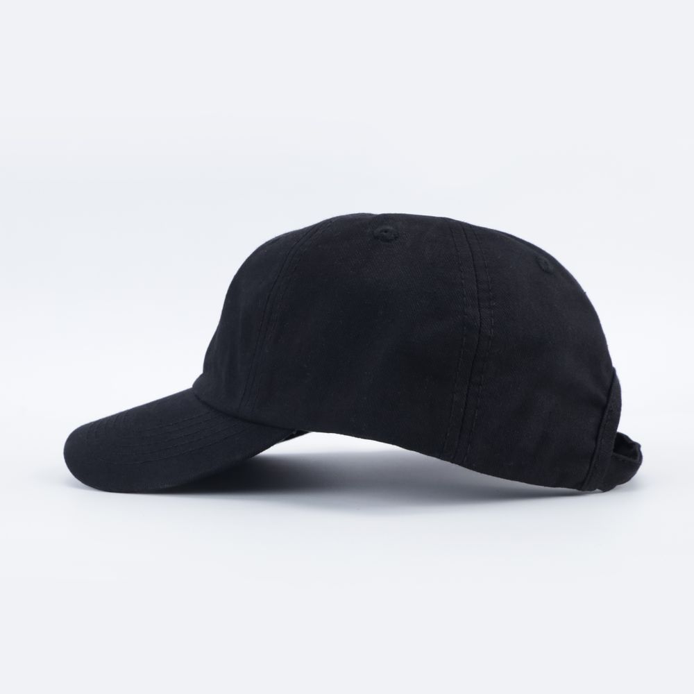 Кепка Anteater 6Panel (black)