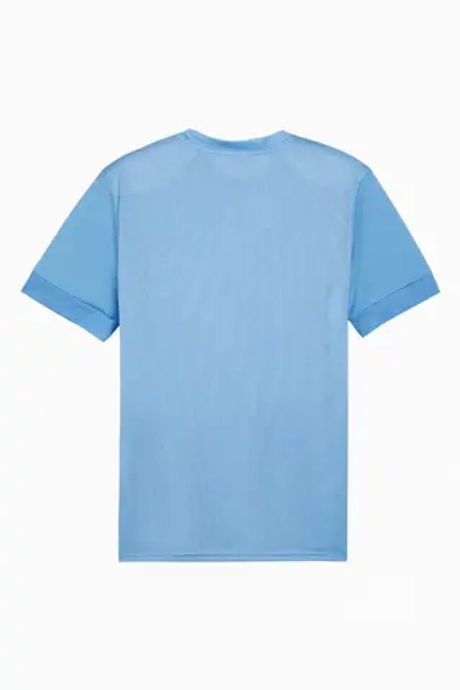 Футболка Puma teamGOAL Matchday - голубой