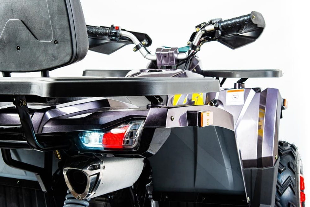 Квадроцикл MOTOLAND 200 Wild Track X Pro (2022)