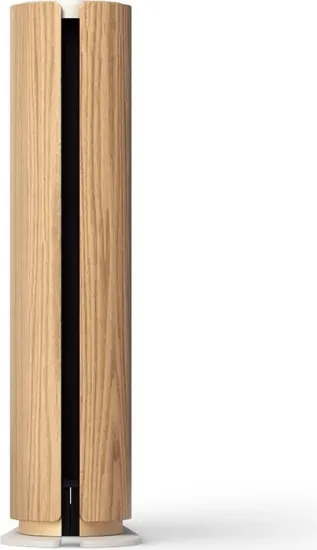 Колонка Bang & Olufsen Beosound Emerge Gold Tone