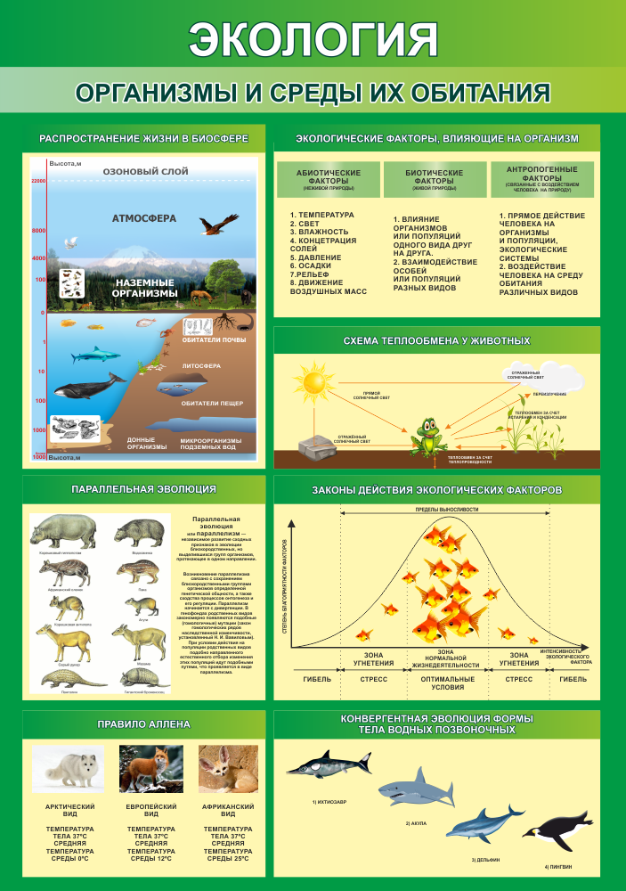 Стенд &quot;Организмы и среды их обитания&quot;