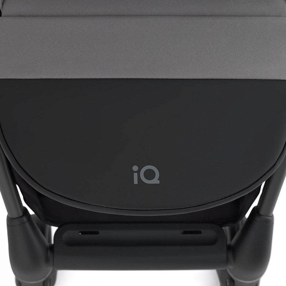 Детская коляска Anex iQ Basic NT 2 в 1 Lune