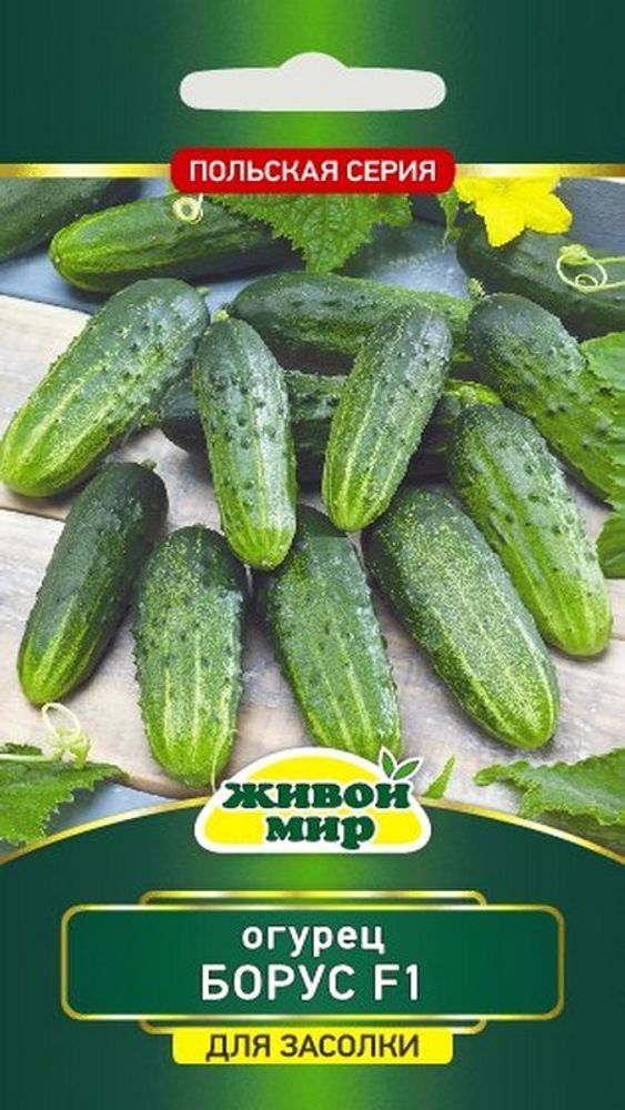 Огурец "ЖМ. Бopyc F1" 1г., Нидерланды.