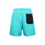 Шорты Nike Logo, AR2383-447