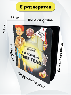 Книжка с фонариком "Как устроено твое тело"