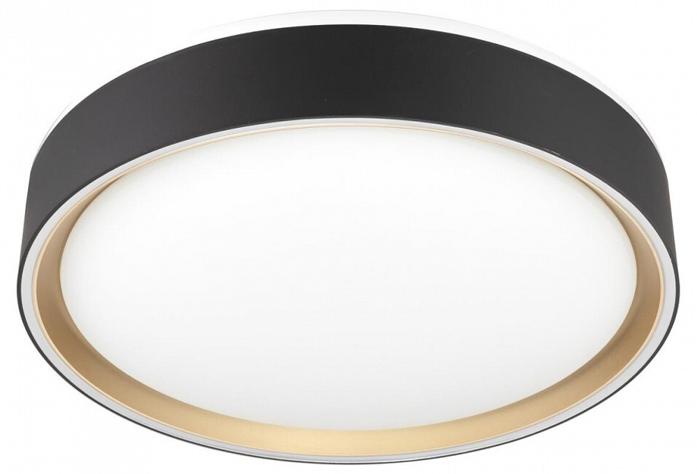 Накладной светильник Citilux BOSS CL751251G