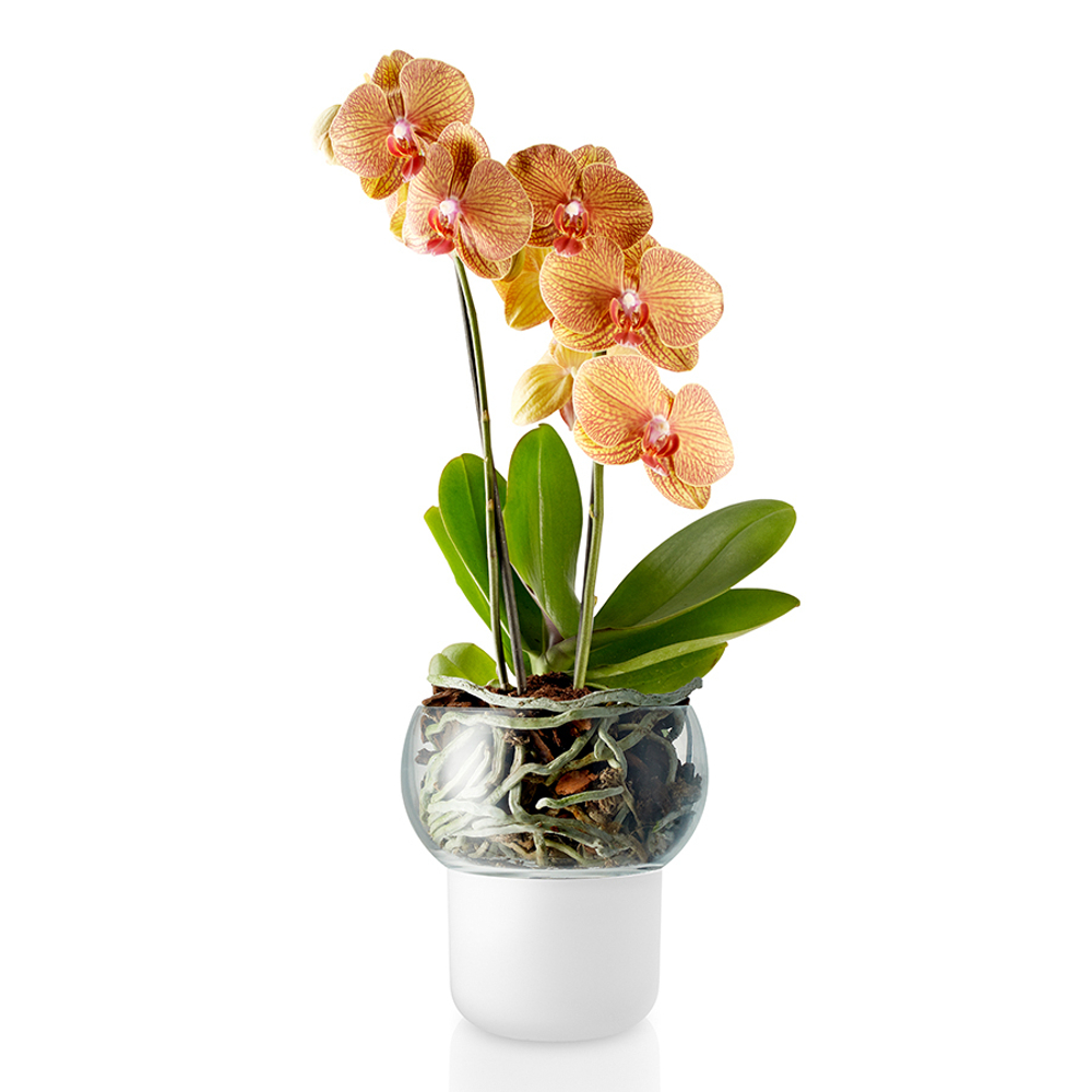 Горшок для орхидеи с функцией самополива 13 см, Eva Solo