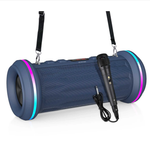 Беспроводная колонка с FM радио Караоке NewRixing NR-6015M