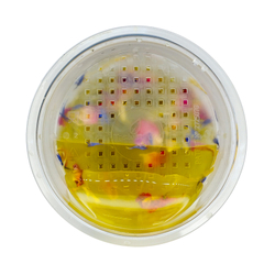 Чай Tasteabrew МАРАКУЙЯ ТРОПИК (для чая со льдом)