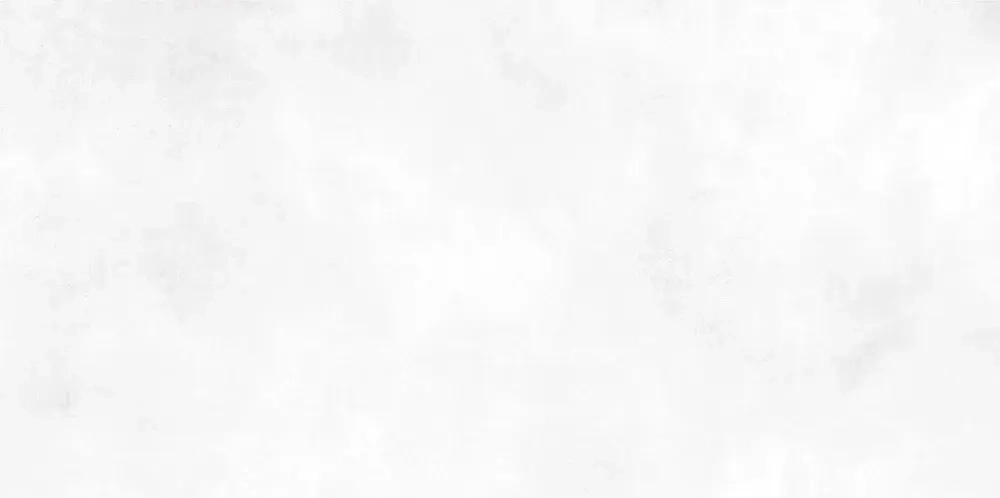 Настенная плитка ALMA Ceramica TWU09RCD000 Richard 50x24.9 белая глянцевая под бетон