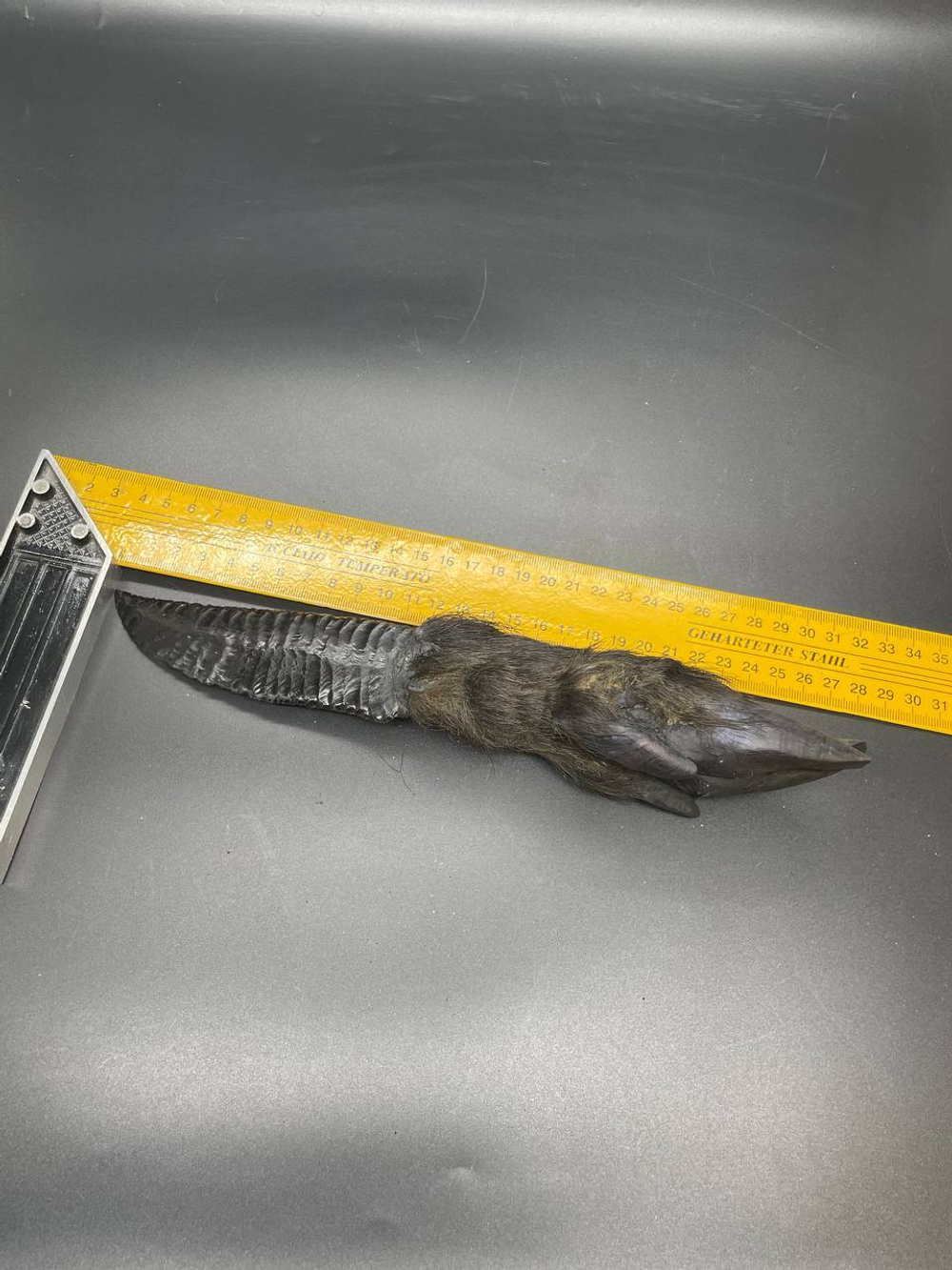 Обсидиановый нож с рукоятью копыта вепря 28 см