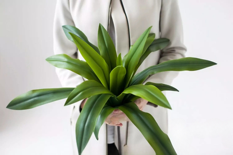 Куст большой с листьями