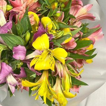 Букет из альстромерий