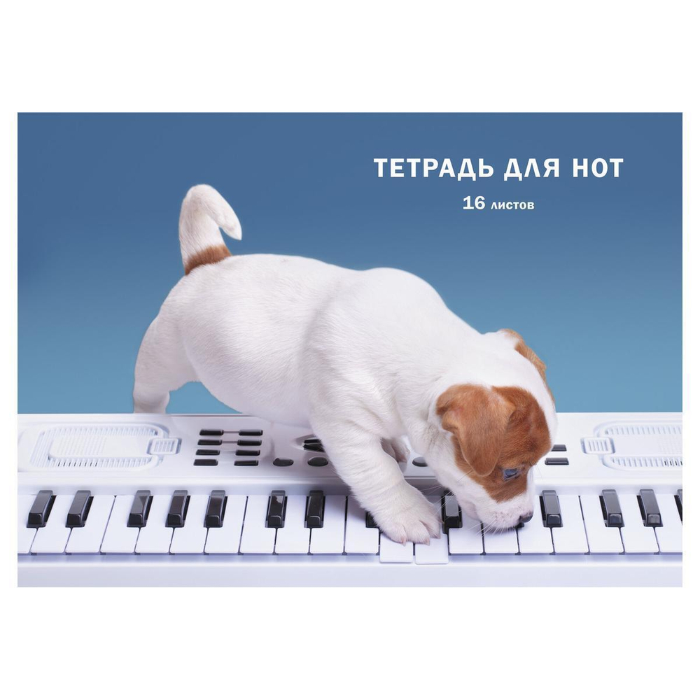 Тетрадь для нот А4 16л. "Пианист" (Эксмо)