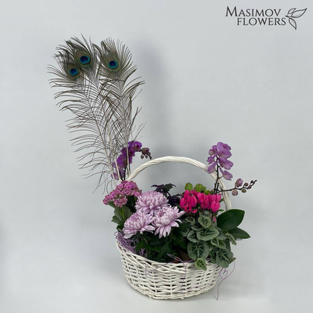 Композиция "Феерия"