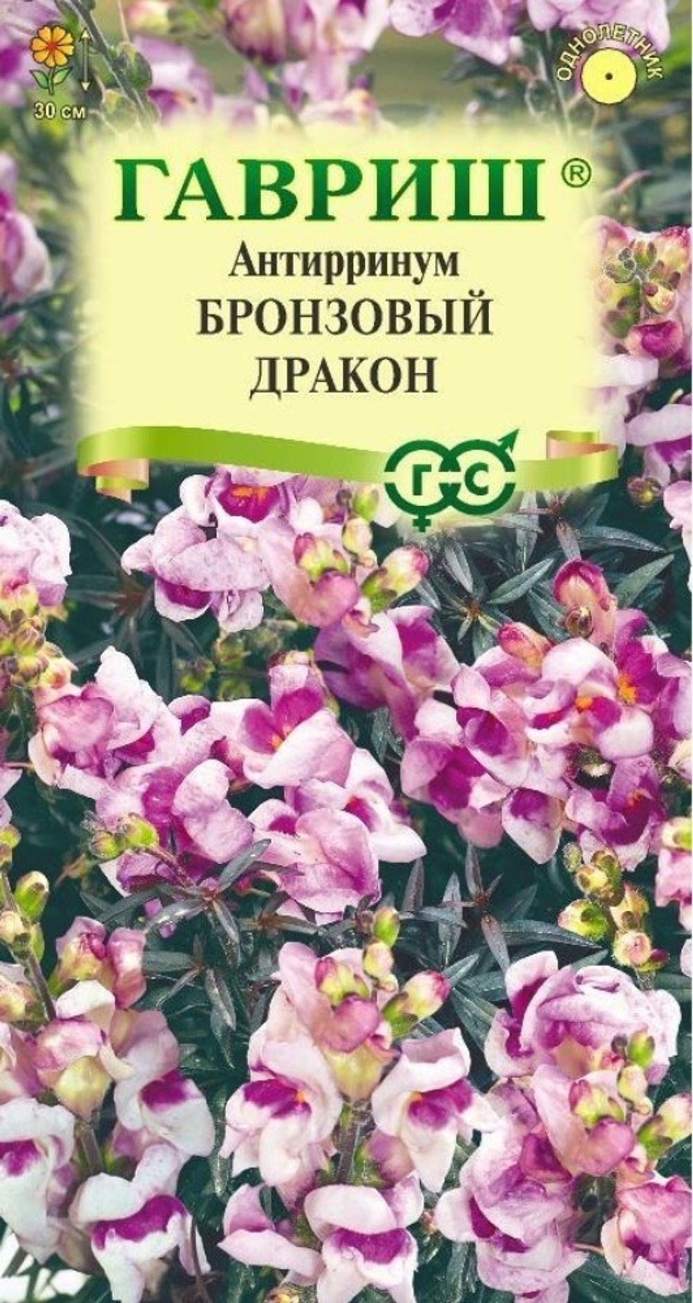 Антирринум (Львиный зев) Бронзовый дракон 7шт.
