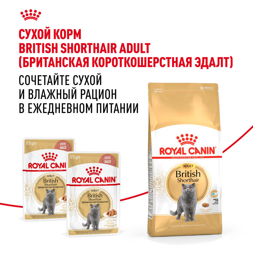 Royal Canin British Shorthair Adult (БРИТАНСКАЯ КОРОТКОШЕРСТНАЯ ЭДАЛТ) Корм консервированный для взрослых кошек соус 85г