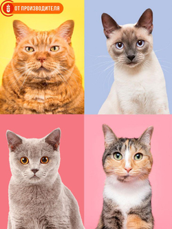 4efa3f3c5b3febd8177e996971761d09