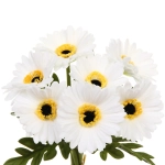 Цветы искусственные «Natur» 33см Герберы 7шт белые
