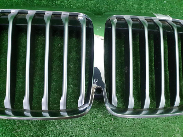 Решетка радиатора BMW X7 G07 (2019-2022)