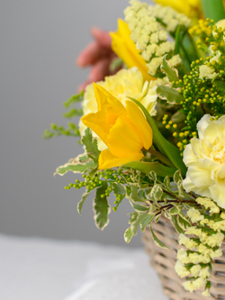 Перед рассветом