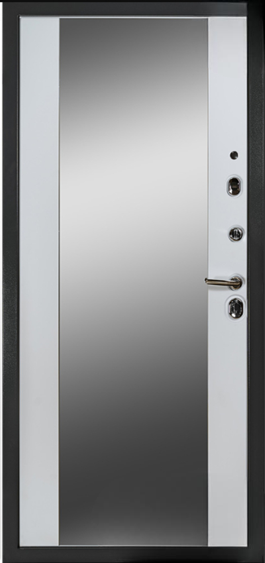 Дверь входная Верта