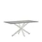 Argo Стол обеденный с белыми ножками из стали и керамической столешницей Iron Moss 160x90