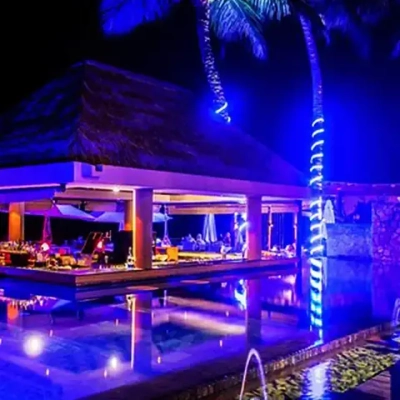 Charming goods Уличный светильник, количество ламп:200шт