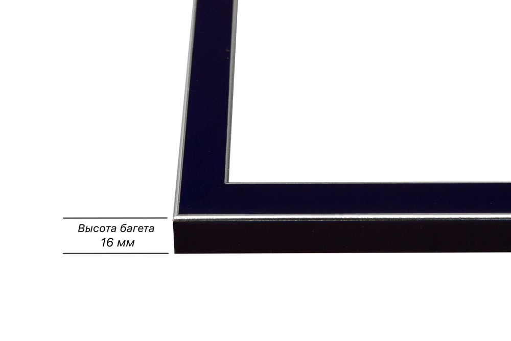 Рама 30x65 для картин и фотографий RP0410256-09