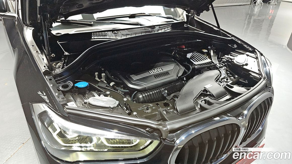 BMW X1 (F48) xDrive 20i Advantage (11.2019)